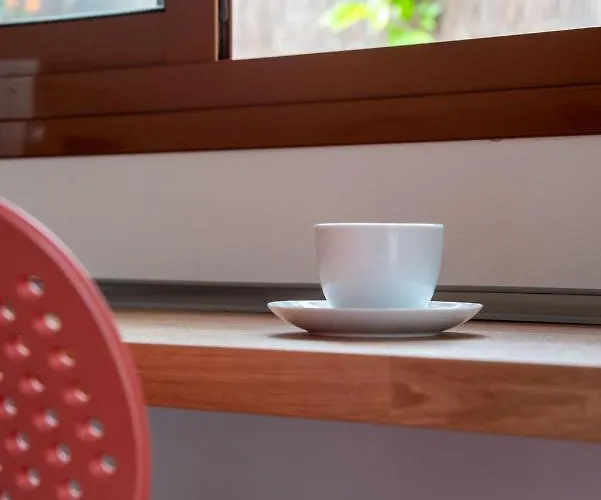 Alcaudon Holidayfv *