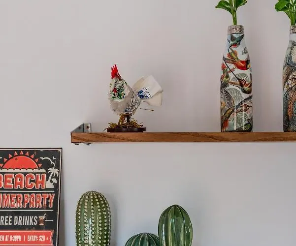 Alcaudon Holidayfv *