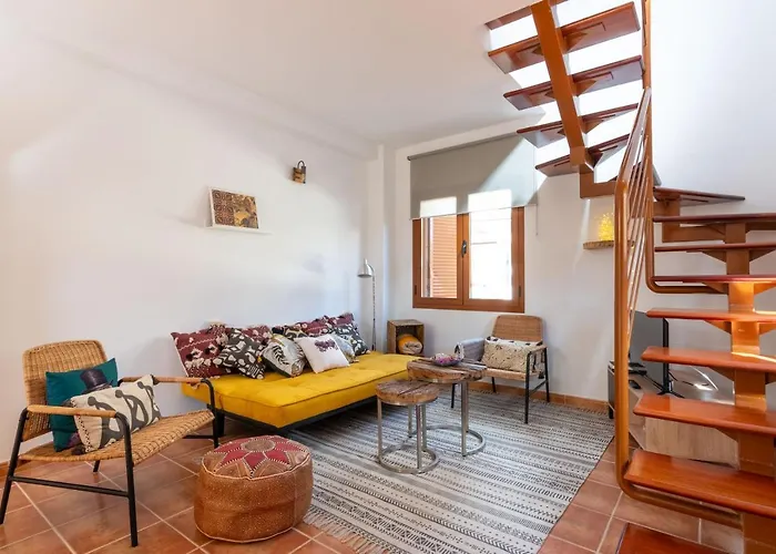 Alcaudon Holidayfv Corralejo