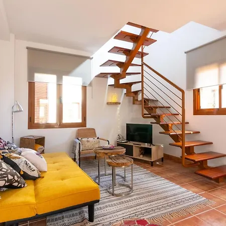 Alcaudón Holidayfv *