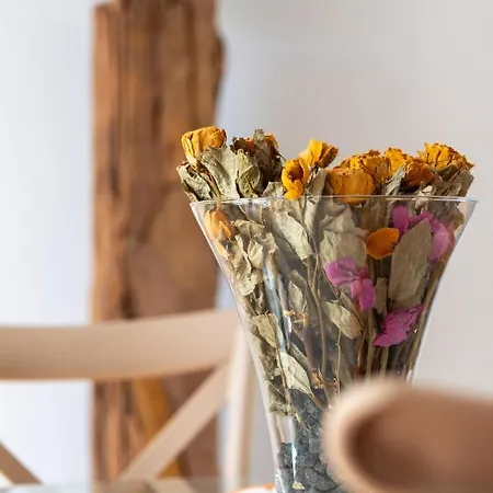 Apartamento Alcaudón Holidayfv *