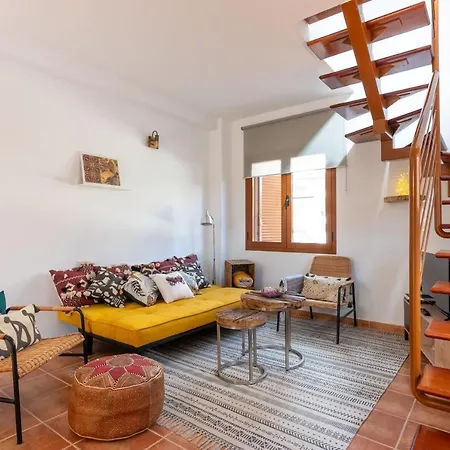 Alcaudón Holidayfv Corralejo