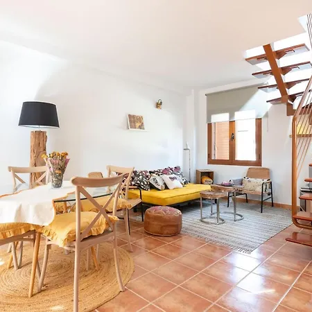 Alcaudon Holidayfv Corralejo