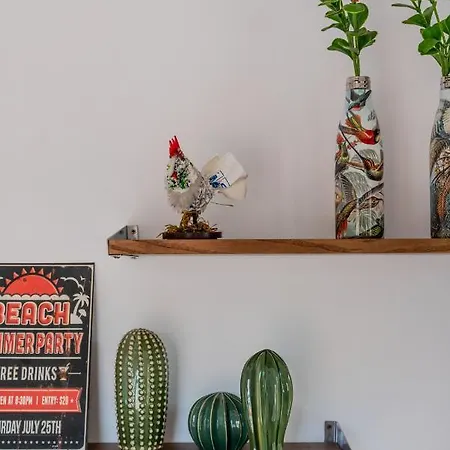 Alcaudon Holidayfv *