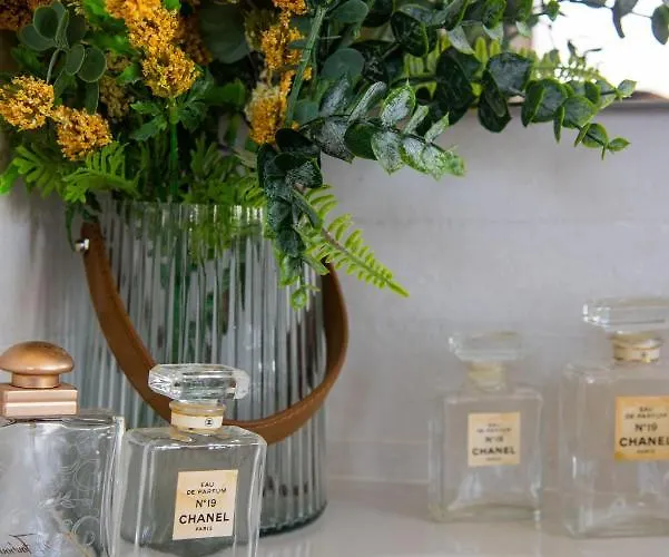 Alcaudon Holidayfv * Corralejo