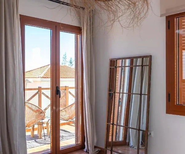 Alcaudon Holidayfv *