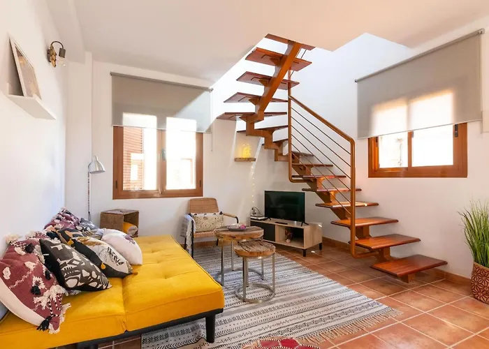 Alcaudon Holidayfv *