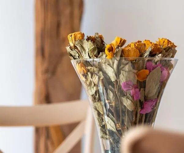 Lejlighed Alcaudon Holidayfv *