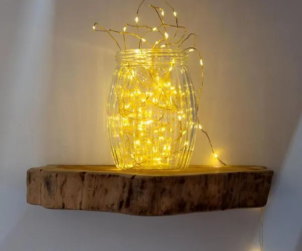 Lejlighed Alcaudon Holidayfv