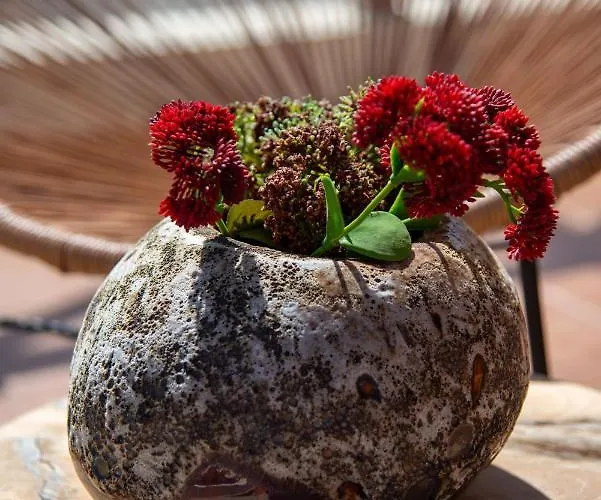 Lejlighed Alcaudon Holidayfv Corralejo