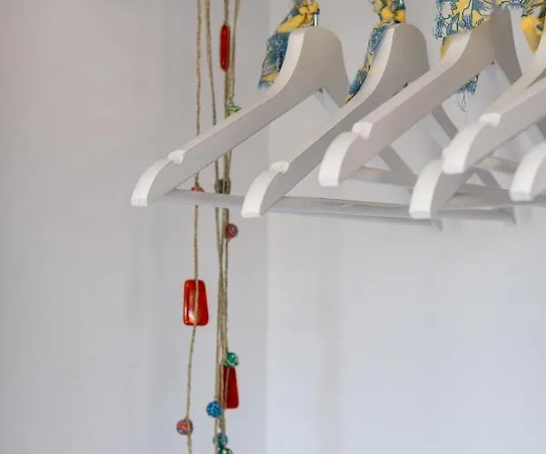 Alcaudon Holidayfv Corralejo