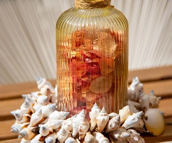 Alcaudon Holidayfv Lejlighed Corralejo