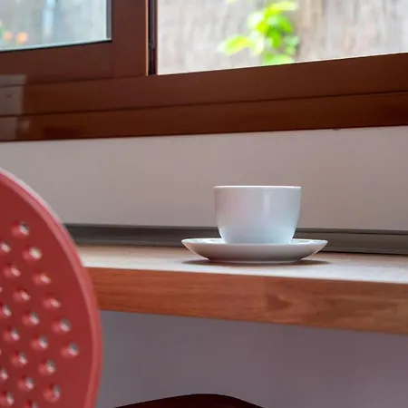 Alcaudon Holidayfv *