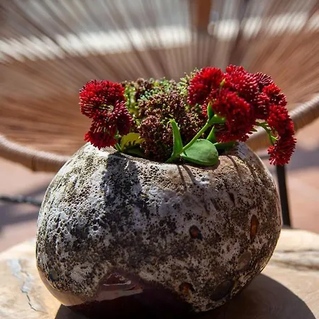 Апартаменты Alcaudon Holidayfv Коральео