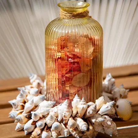 Alcaudon Holidayfv Апартаменты Коральео